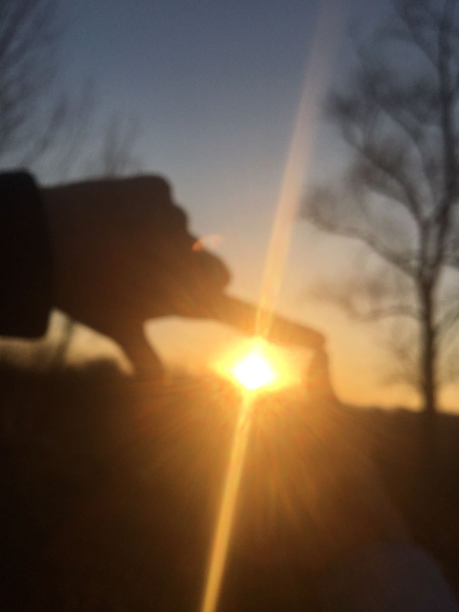 FraaCampioni's tweet image. Dovrebbe essere una foto fika
#sunset #sky #lovewithfriends