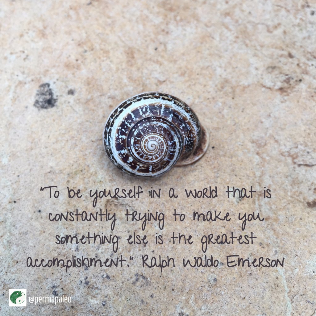 MyRaleighGarage's tweet photo. #permapaleo #thoughtfortheday #inspiration https://t.co/sPNfjxOIR4