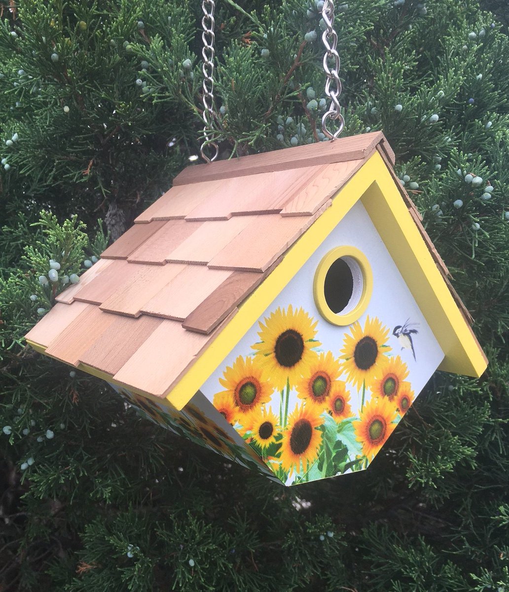 HomeBazaar's tweet photo. See What's #New at #HomeBazaar
#newproduct #birdhouses
https://t.co/rRqcINWnYi https://t.co/RMQO5uX0zF