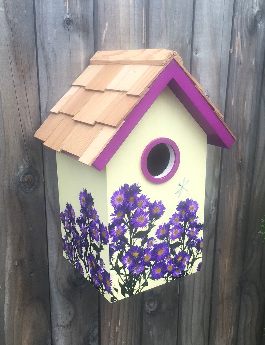 HomeBazaar's tweet photo. See What's #New at #HomeBazaar
#newproduct #birdhouses
https://t.co/rRqcINWnYi https://t.co/RMQO5uX0zF