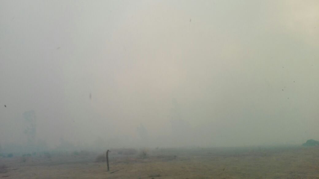 GBravoCaceres's tweet photo. AHORA: Fuego Continua en Sentido Poniente, Densa Capa de Humo en la Zona #Culenmapu #Llico #Vichuquen https://t.co/bQSifZsZ5x