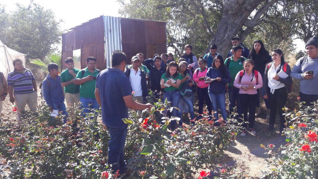agro_utvco's tweet photo. Hacemos sinergia con floricultores de #Ocotlan de Morelos. https://t.co/T2k9MMX66g