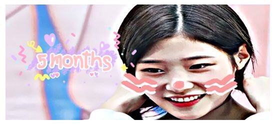 puifonarin's tweet photo. .         〸°.꒰ꈍ∘HAPPY FULLY 5MONTHSꈍ꒱°.〸ꔛ♡⃝ᝐ ⁺೯:ᕳWELCOME BACK&amp;BEGIN AGAIN ᕲ:⁺WIT(S)H YOU 1OO%❰🐰💭ー@chaeyeonsurex ❱ FOLLOW ME☇° @cyeonsurex https://t.co/SAPVDjQzeb