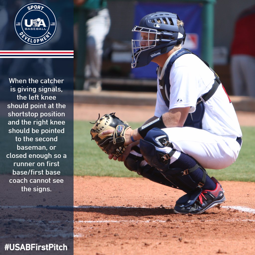 Baseball Catcher Stance