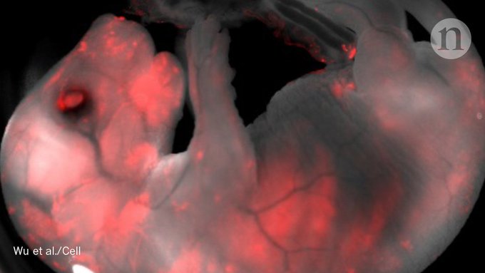 Ver imagen en Twitter Ver imagen en Twitter