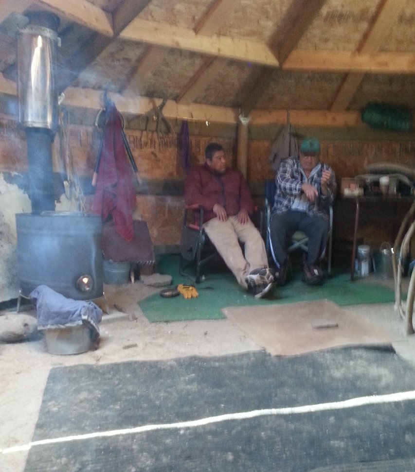 piscescree's tweet photo. School is in session. #TraditionalEnvironmentalKnowledge  #TEK https://t.co/aZqgfEAPj3