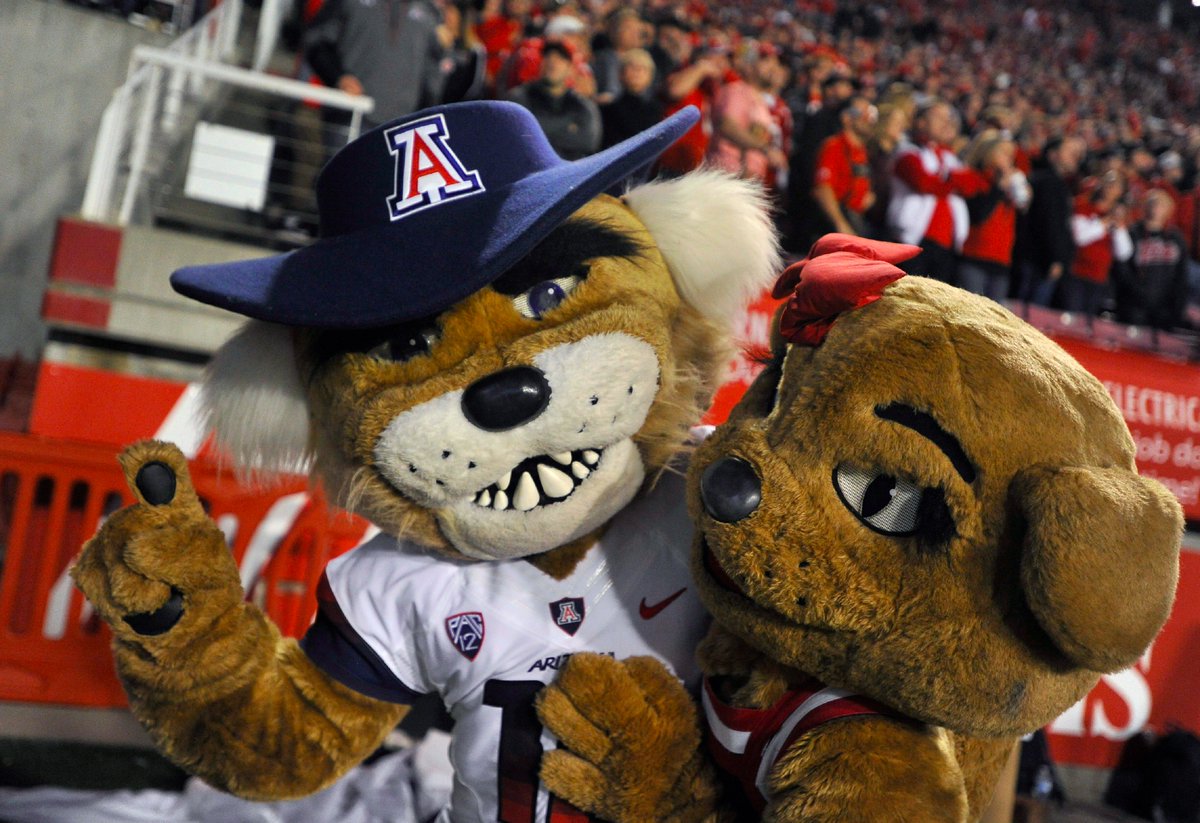 Pac12Network's tweet photo. Get you someone who looks at you the way @OfficialWilma looks at @OfficialWilbur.

Happy #NationalSpousesDay! 🐻⬇️ https://t.co/iYuedHiDFA