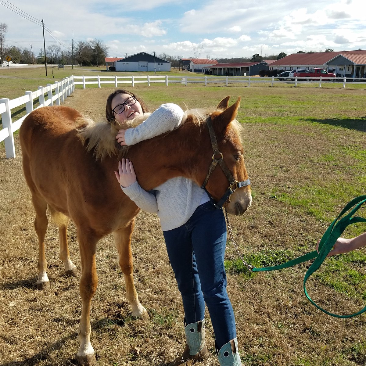 ChaseWilliamsTN's tweet photo. @realDonaldTrump this is the #tennesseewalkinghorse   don't belive #hsuslies https://t.co/GARFH2VX2y