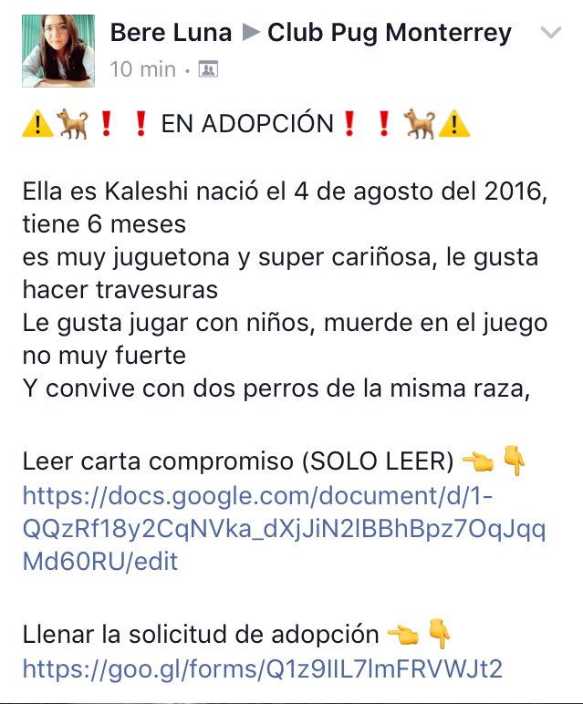 clubpugmty's tweet photo. #AdoptaA Kaleshi 💐
Es una #pug bebe de 6 meses que busca una familia a quien darle mucho amor 💖 Más información en nuestro Facebook 😉 https://t.co/t7t8EDJmll