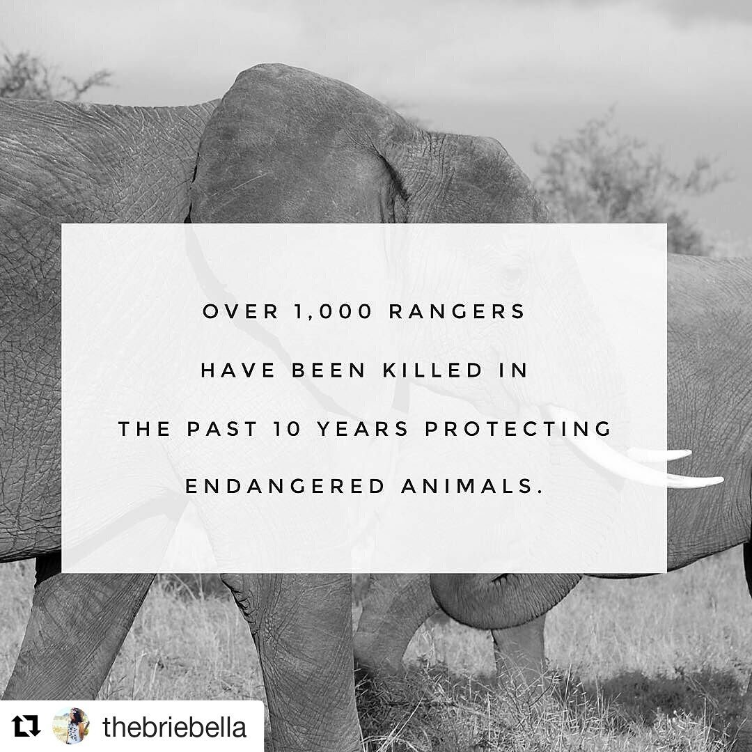 wwefanlove7's tweet photo. 💔 #onegreenplanet #briefree https://t.co/TfCb5Mhd2Y