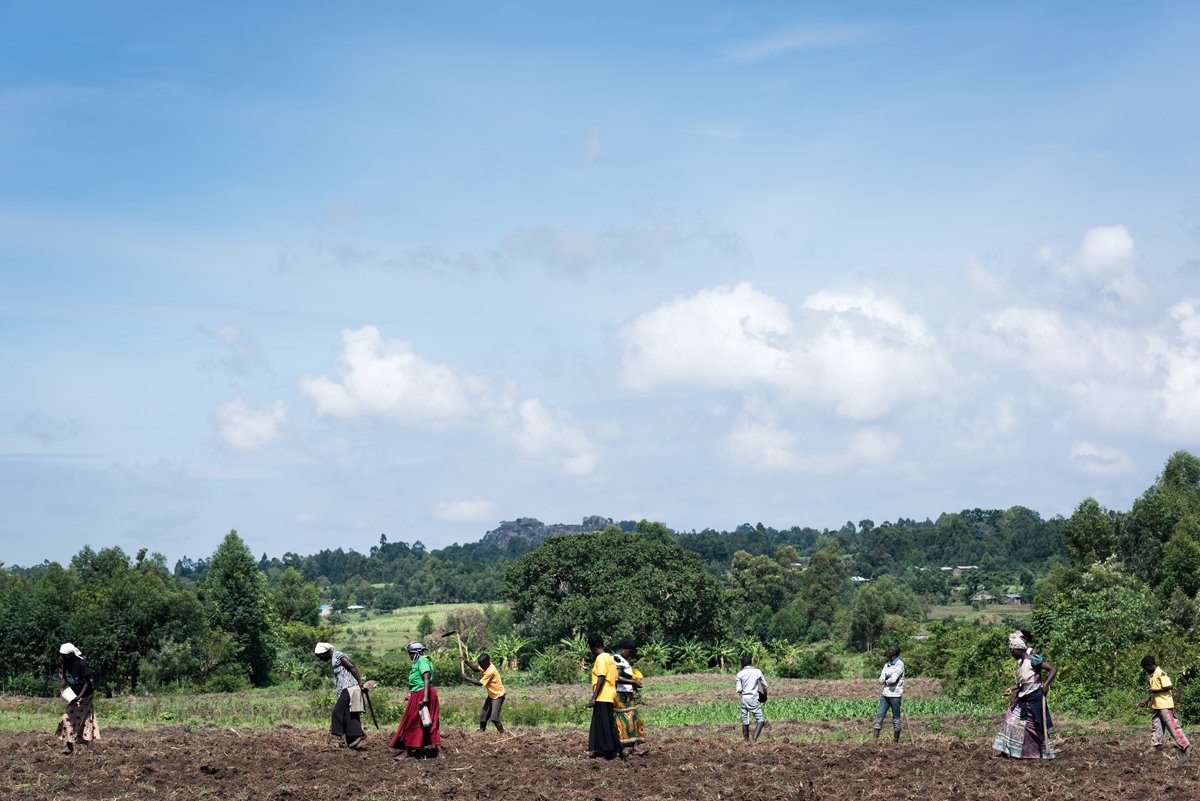 One Acre Fund tweet media