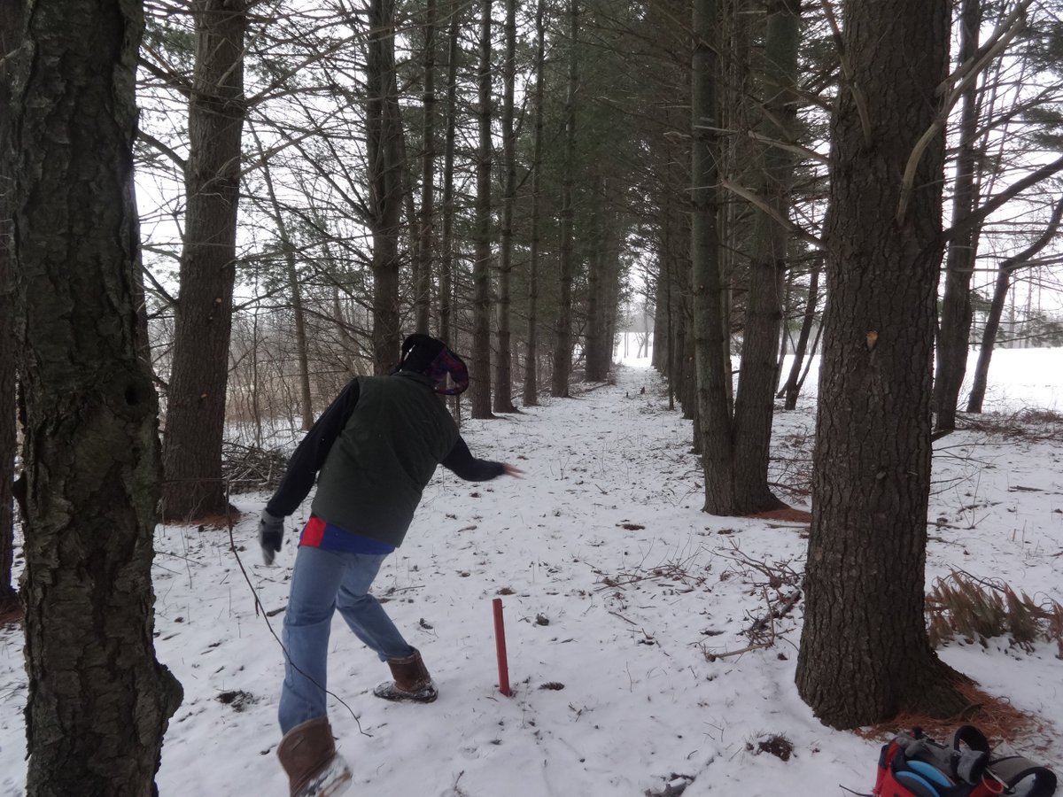 HedstromMedia's tweet photo. Happy 180th Michigan! 🎇❤🌉🌊🇺🇸
Celebrating with some winter #DiscGolf!
@PureMichigan @HedstromMedia 
🔵🔗⛳😍💯
#Michigan #ThankfulThursday https://t.co/AdX8VpZbT3