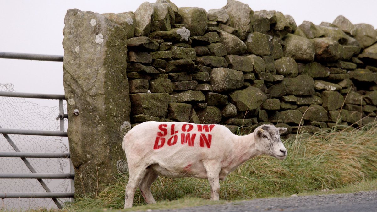 59% of all fatalities occur on country roads.  THINK! Brake before the bend, not on it.
d4u.org.uk/tsVYd