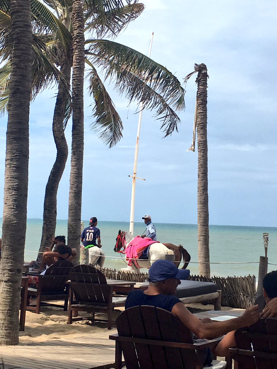 PenelopeTrendy's tweet image. #BonDia #EADT864 #AParadise💙#🙌@Joel_Sastres @Iznhir @Trroskys @KateBoot @ManishPardesh19 @MarianaKirilova