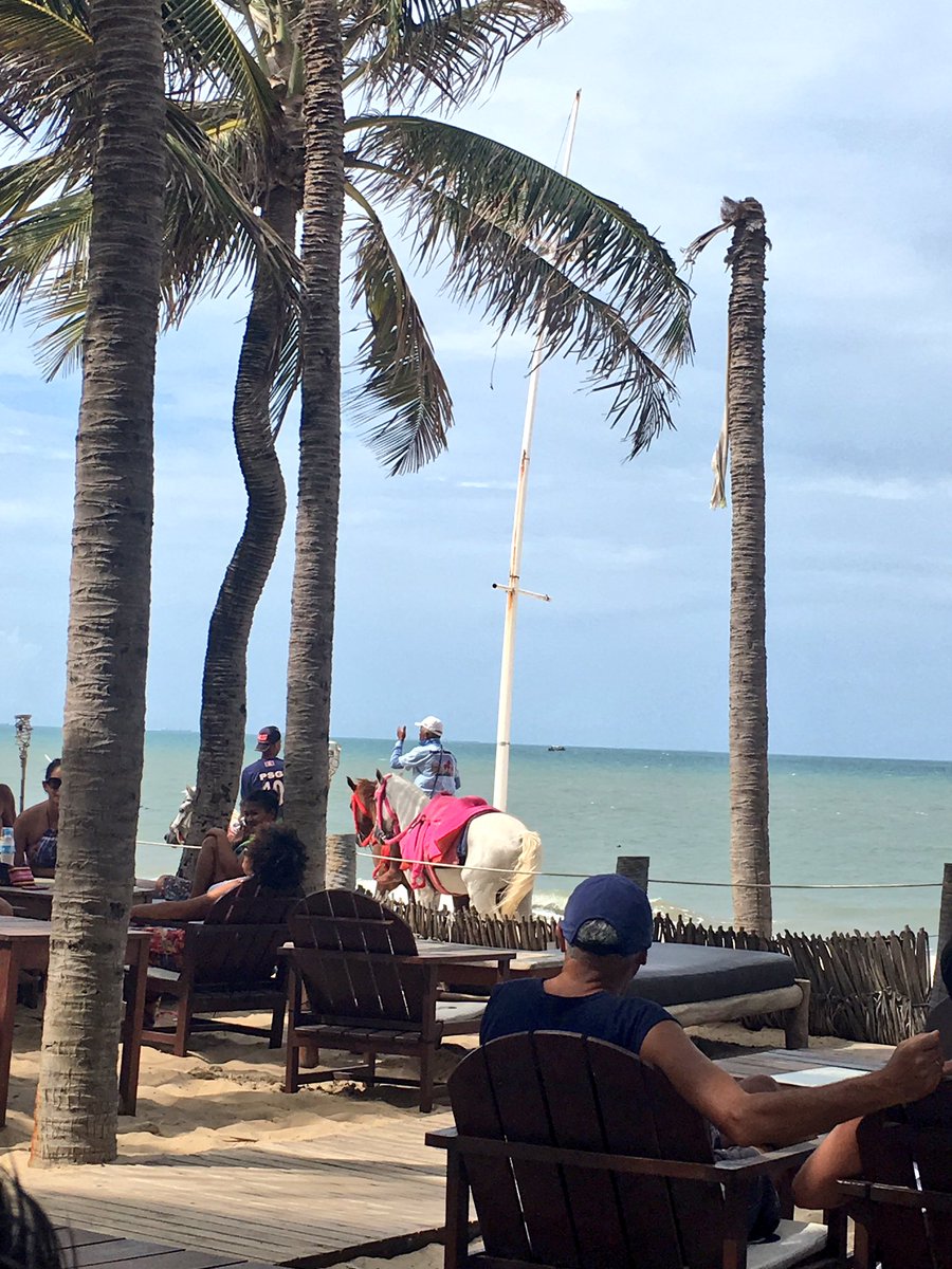 PenelopeTrendy's tweet image. #BonDia #EADT864 #AParadise💙#🙌@Joel_Sastres @Iznhir @Trroskys @KateBoot @ManishPardesh19 @MarianaKirilova