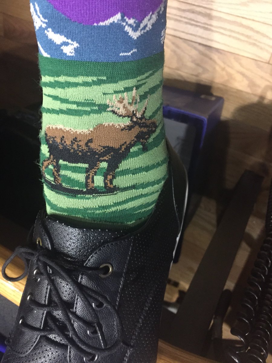 GordEllis's tweet photo. Today's work socks,a super cool #Xmas gift from the uber hip @morningshowlisa. #moosesocks @CBCGordEllis @Northern_Wilds https://t.co/CaL2djYINX