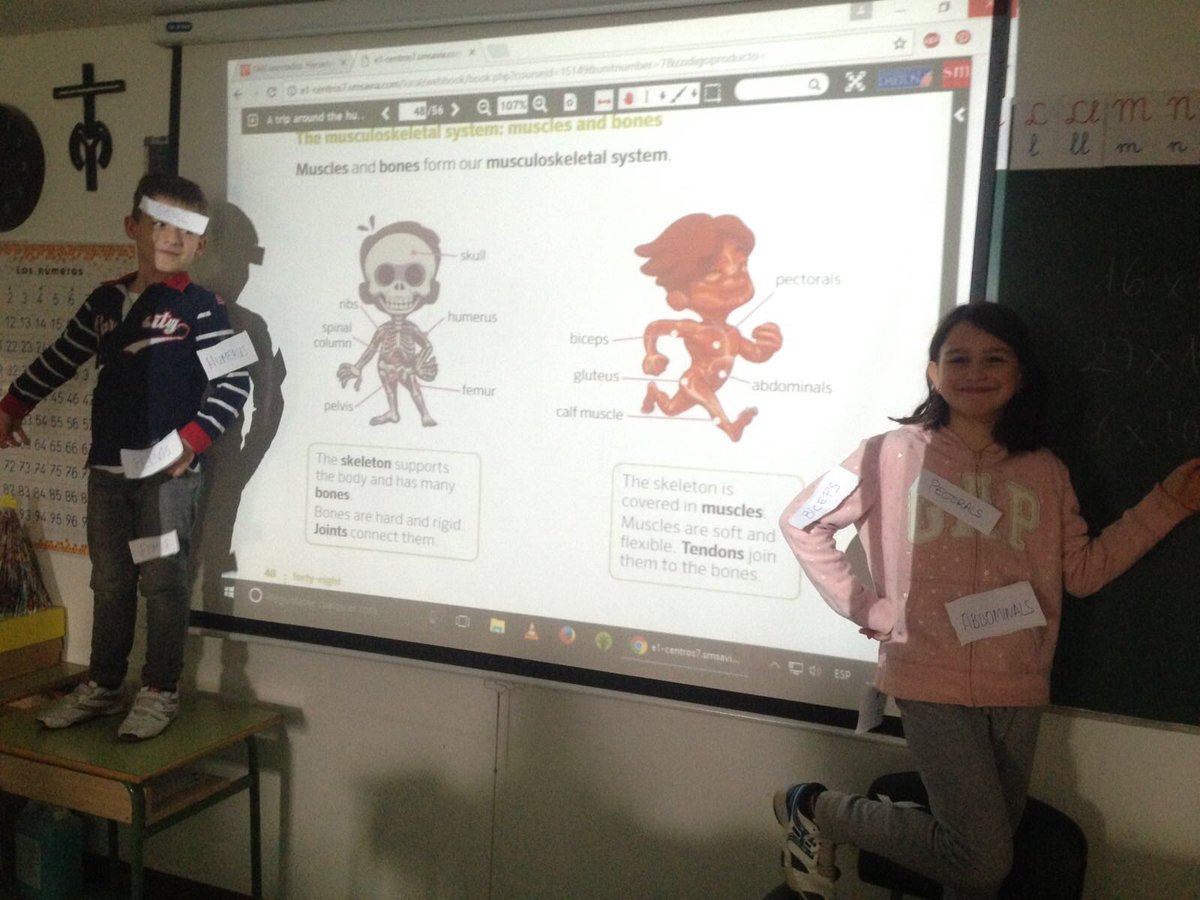 ElPilarVa's tweet image. Here we have our muscles and bones! #Science2 #makeitpossible