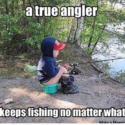 LandTheFishNet's tweet image. Gonna need a bigger bucket!
#fishing #anglers #fish 
landthefish.net