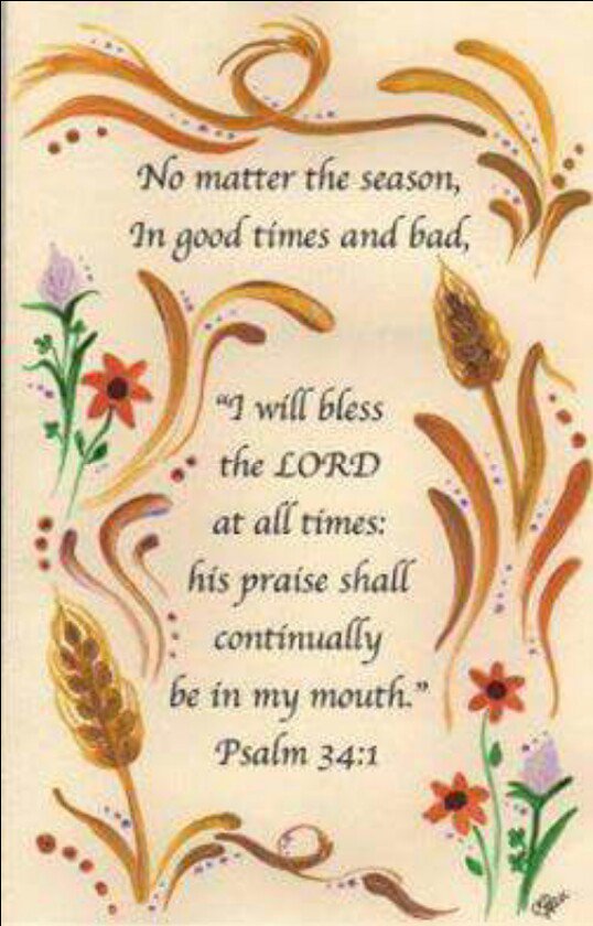 ALScott31673233's tweet photo. @Klbpositiveener @InHisImage1111 @LifePrayer1 @Ms_Jackie50 @lady20456 @charisse_savior @Yongyuan0162 @sherryg20 @bshelton414 @BaileyRashida https://t.co/Zcwt86aLso