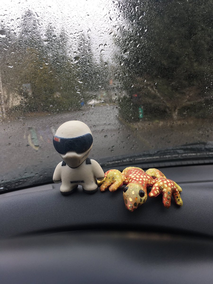 mini_stig tweet picture