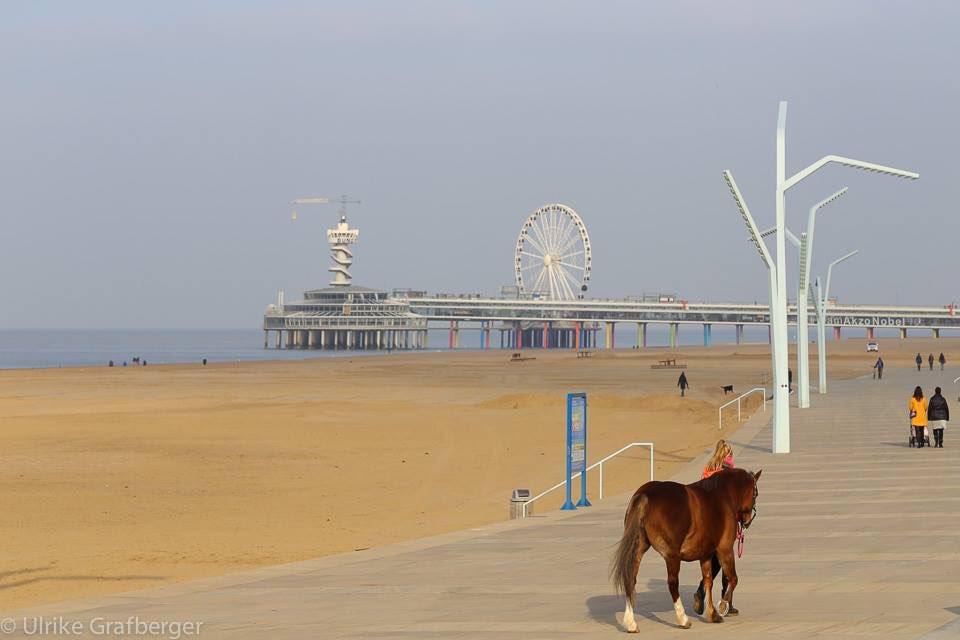 Spaziergang am #Strand #Scheveningen