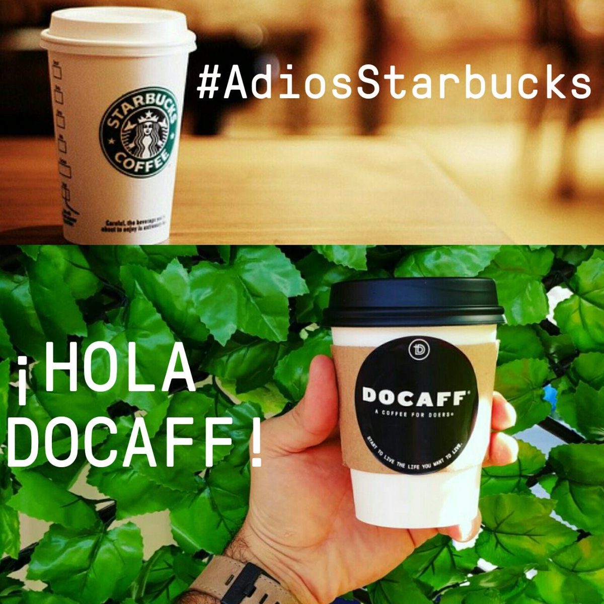 DOCAFF_MX's tweet photo. Hola #HechoenMéxico
Hola #DobleCafeína
Hola #Orgánico
Hola #ComercioJusto
Hola #Sabor
Hola #Calidad
HOLA DOCAFF
#AdiosStarbucks https://t.co/WB77XwSwtT