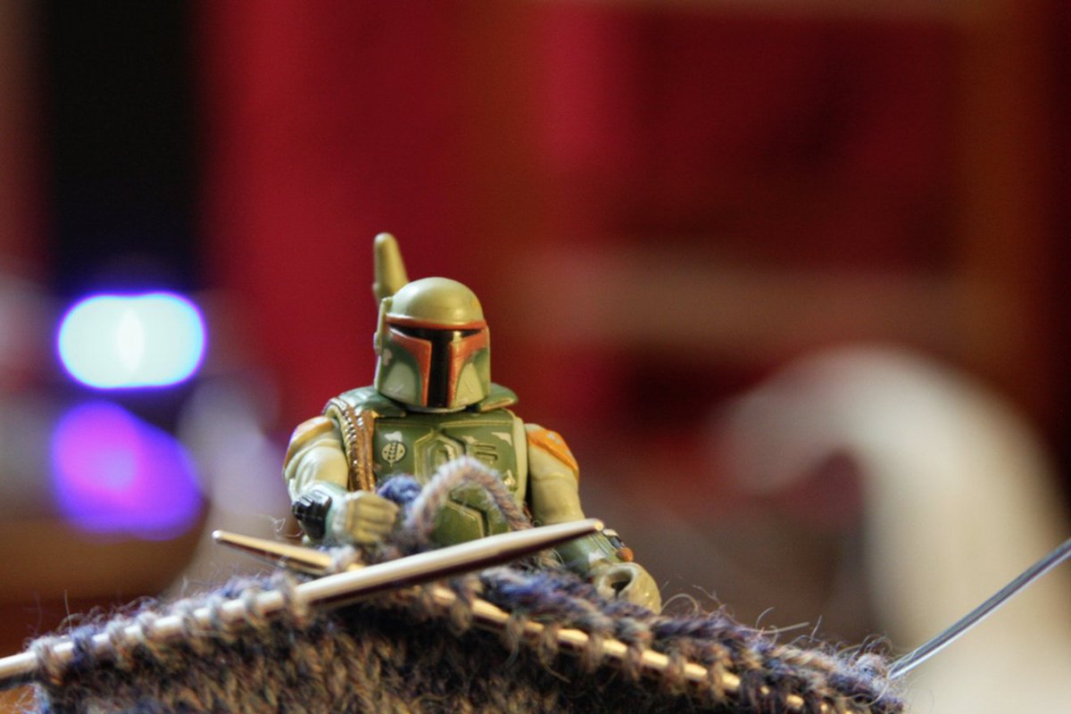 A Guide To Nashville’s Politically-Neutral Yarn Shops, including <a href="/HausofYarnTN/">Haus of Yarn</a> and <a href="/ProgressNash/">Progress Inc.</a>’s SmART Supplies: nashvillest.com/2017/01/26/gui…