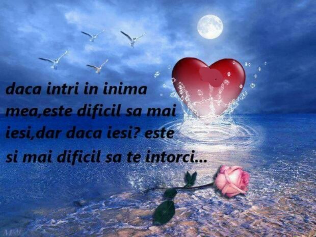 Agnesa Lobo (@maricicavoina) on Twitter photo 