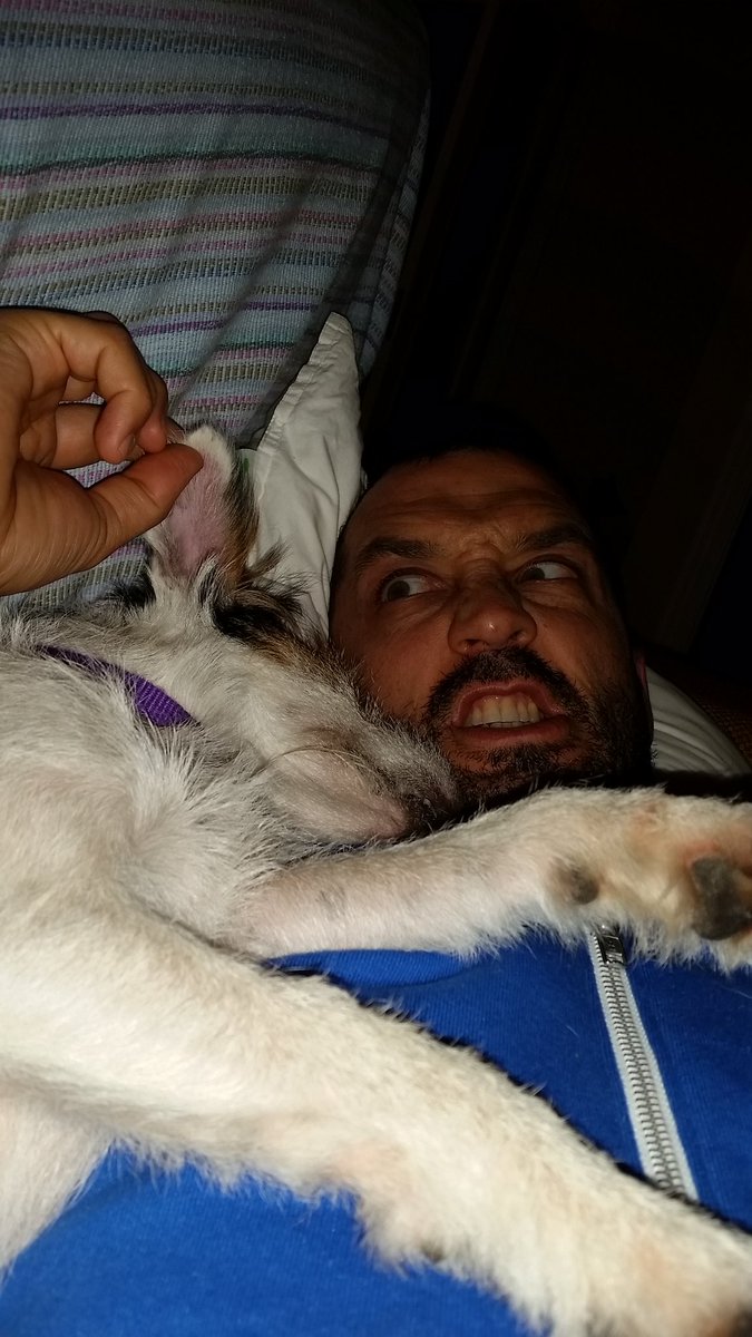 Txakurtzen's tweet photo. ¿nadie ha pensado que en vez de  #perro dominante,  puede que tu perro solo sea un mal educado?todo es según el prisma con el que se mira https://t.co/WhWELL7xTY