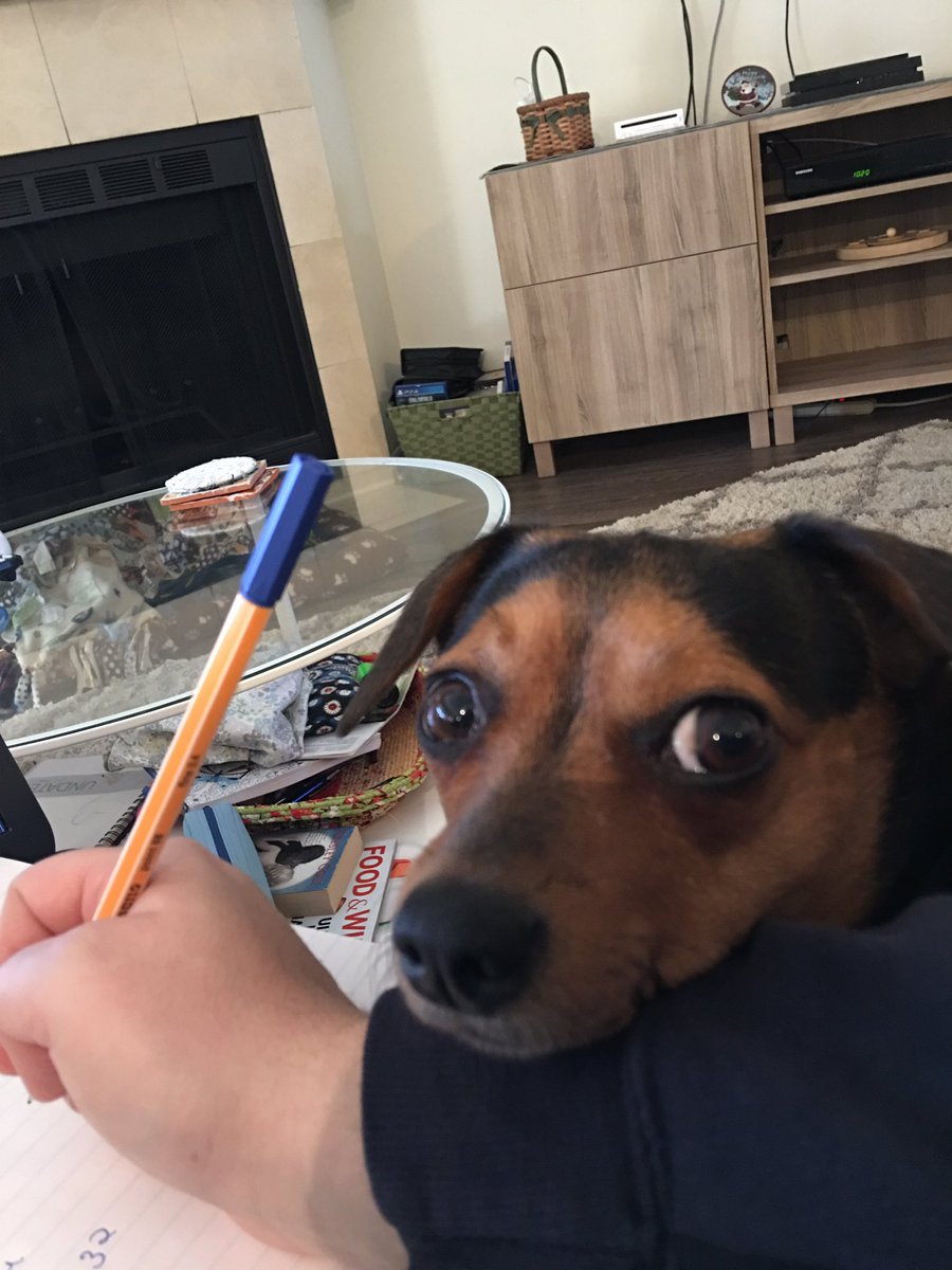jcisabellabooks's tweet photo. How am I supposed to work like this? https://t.co/EjPWXPD76S