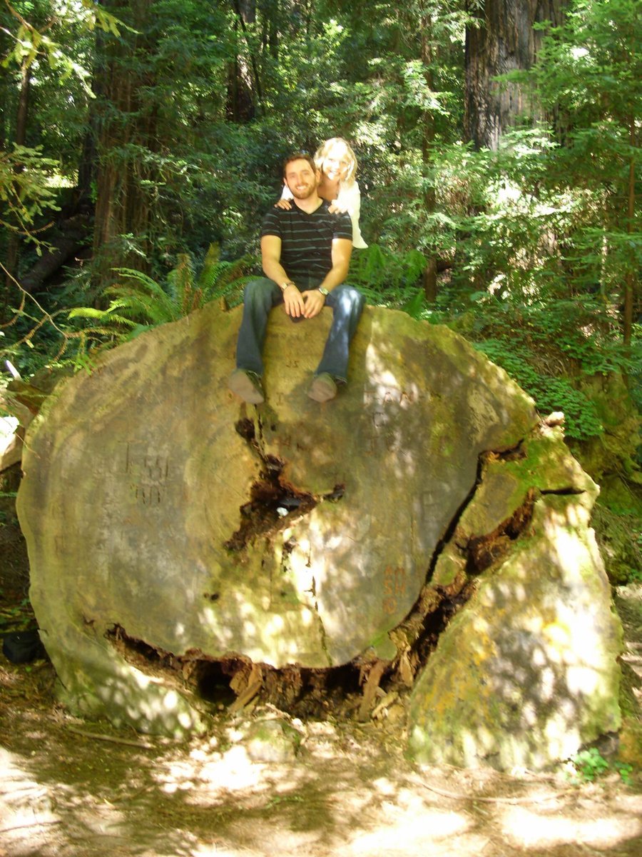 stephLightcap's tweet image. Small. Plastic. Fake. Sad. Apologize! #alternativefacts #NationalParksService @AltNatParkSer @RedwoodNPS