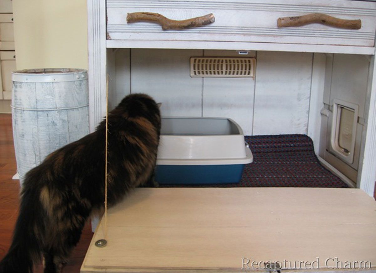 10 House Hacks Every Pet Owner Needs to Know buff.ly/2jBAAYh