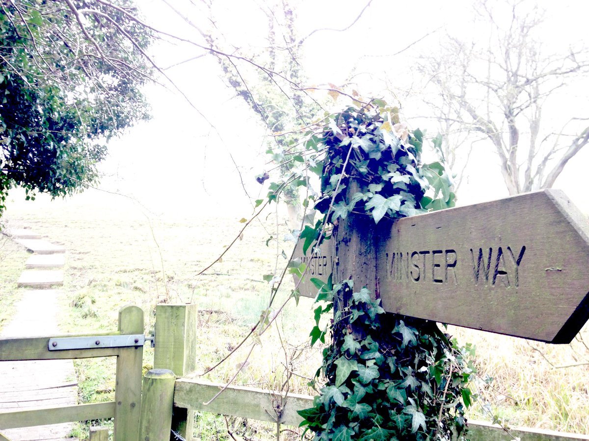 gardeningYorks's tweet photo. @WoldsSecretArt might have found a little secret along the way ;) https://t.co/3Ej5DwIH4k
