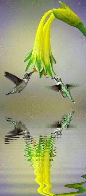❣️MICHELLE GOSS ❣️ (@michelle0423g) on Twitter photo <a href="/feritavargas/">feritavargas</a> <a href="/AkramRajput/">Shaheer Akram</a> @pouramour_ @MoonLight_48com @Chandra1Vinod <a href="/s0ranek07/">蒼♡AO♡💙</a> <a href="/tere_a77/">♡♡Tere♡♡ 📷</a> <a href="/omniajen/">ʝąʑ🌷</a> @Mary_UB7 <a href="/Mirror16178586/">Tatiana I</a> <a href="/elen837/">🖤•🖤•🖤•🖤•🖤</a> <a href="/feritavargas/">feritavargas</a> <a href="/AkramRajput/">Shaheer Akram</a> @pouramour_ @MoonLight_48com @Chandra1Vinod <a href="/s0ranek07/">蒼♡AO♡💙</a> <a href="/tere_a77/">♡♡Tere♡♡ 📷</a> <a href="/omniajen/">ʝąʑ🌷</a> @Mary_UB7 <a href="/Mirror16178586/">Tatiana I</a> <a href="/elen837/">🖤•🖤•🖤•🖤•🖤</a>