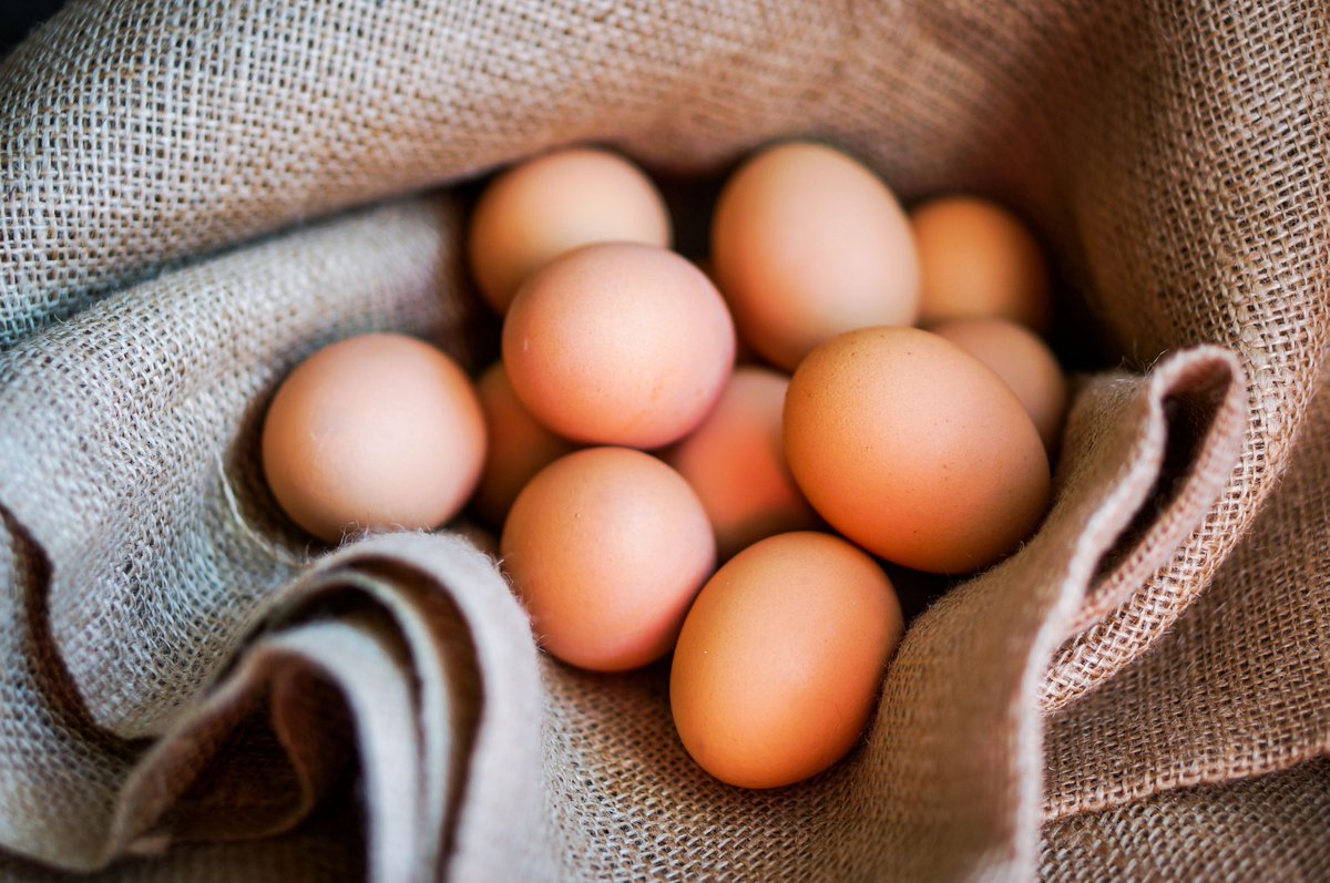 NutriSteward's tweet photo. If you're #vegan + need an #eggalternative make a Flax or Chia Eggs, it works as a 1:1 ratio in recipes! #healthyisnothard https://t.co/rM0iloLyCH