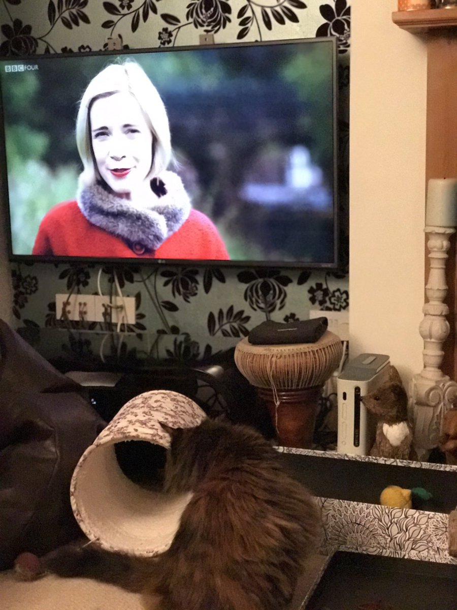 anyascats's tweet photo. Ooh @Lucy_Worsley did that black pudding land on the floor here...? #catlogic #CatsOfTwitter #History #bemoremattie @stuffnfings @BBCFOUR https://t.co/N4hTZiZGux