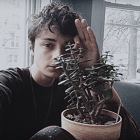 ;- The roses have wilted, the violets are dead, the demons run circles, round and round in my head