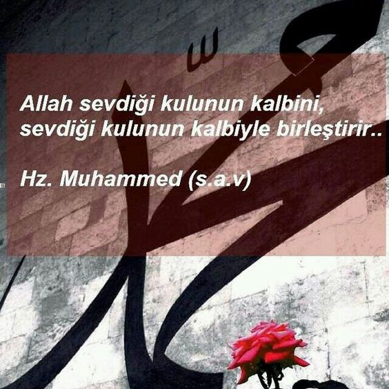 M salim YILDIZ (@2534yildiz) on Twitter photo 