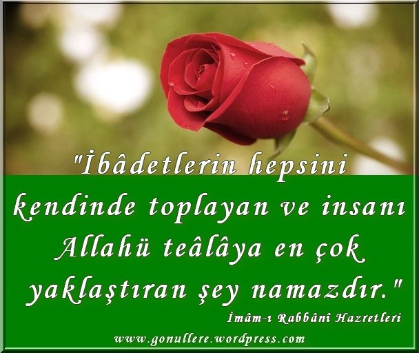 M salim YILDIZ (@2534yildiz) on Twitter photo 