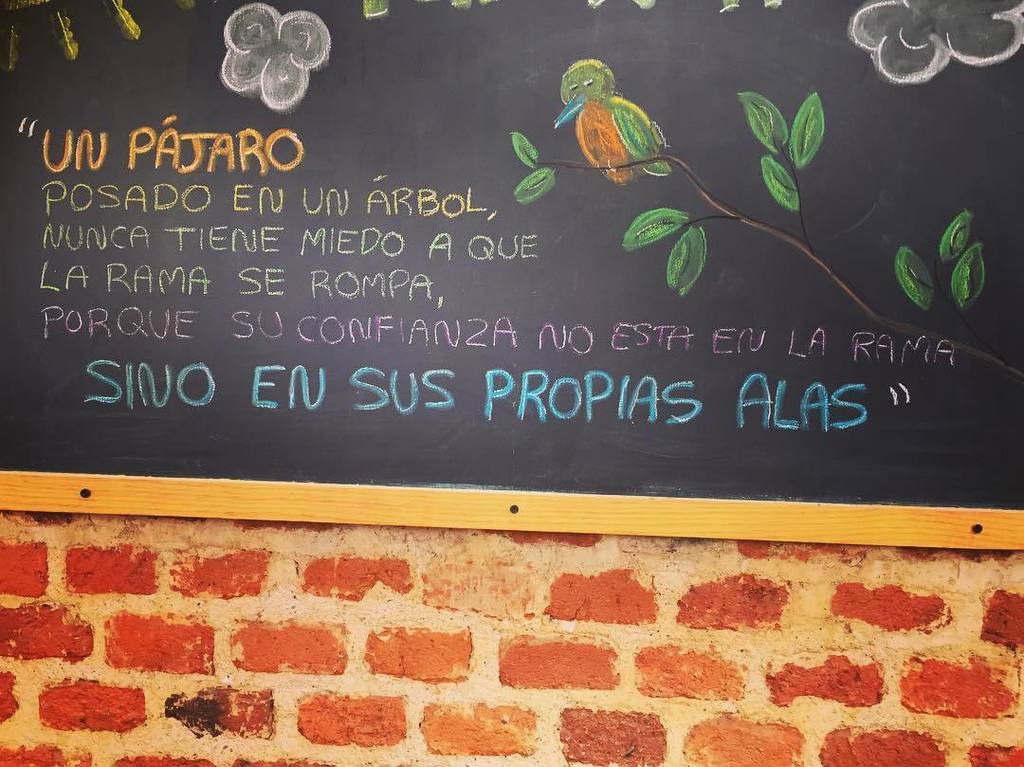 artesycirco's tweet photo. #artesycirco #cdmx #confianza #frasesdelavida #circomx #pajarito 🐦🍃 https://t.co/2aKvR3X9GT https://t.co/CfCLVw6sX9