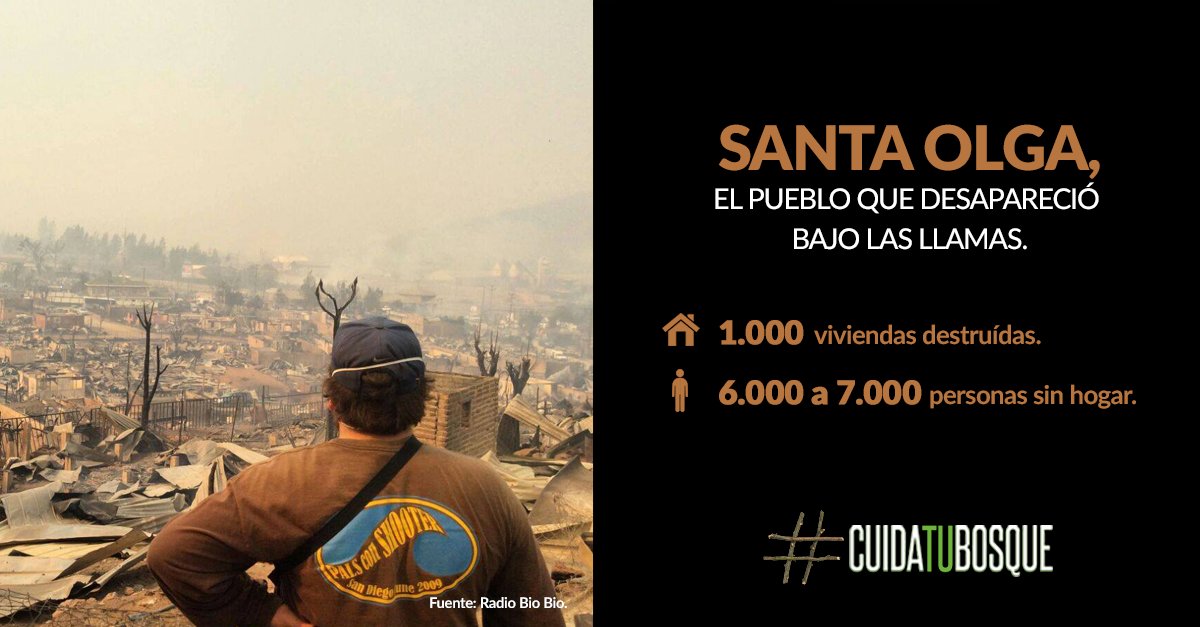 CuidaTuBosquecl's tweet photo. La reconstrucción y la prevención de los incendios forestales es tarea de todos. #CuidaTuBosque https://t.co/DCuJapqhsk