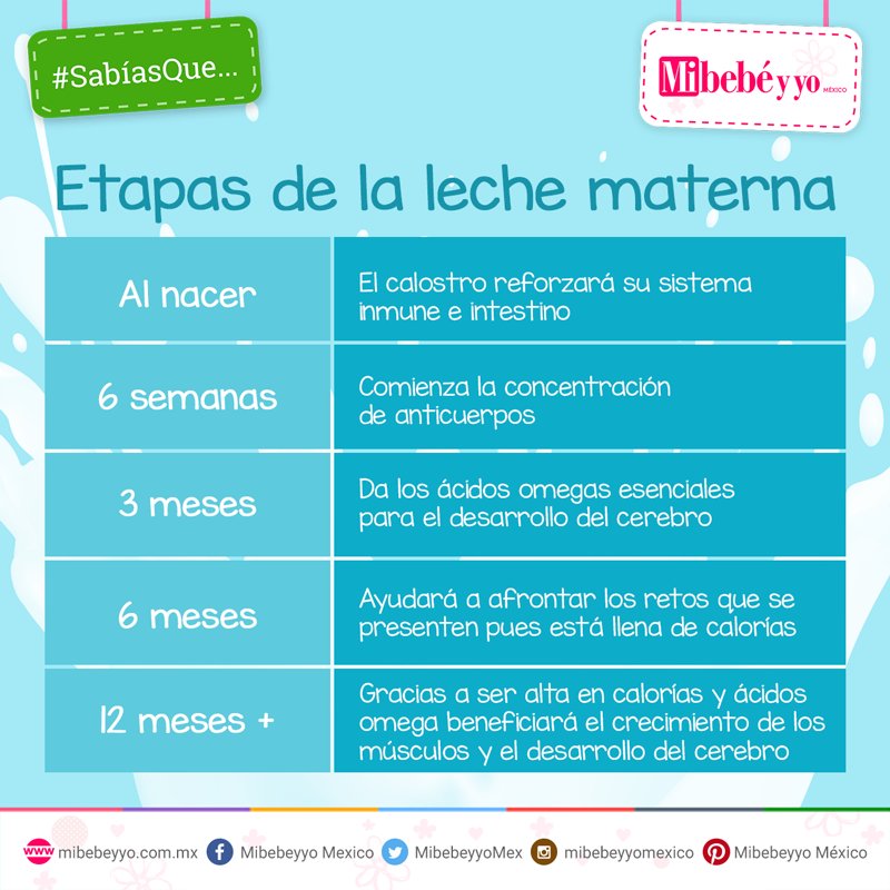 MibebeyyoMex's tweet photo. #TopCincoCosasQue debes saber sobre la leche materna y sus etapas. 🤔 https://t.co/f6bTw27eMx