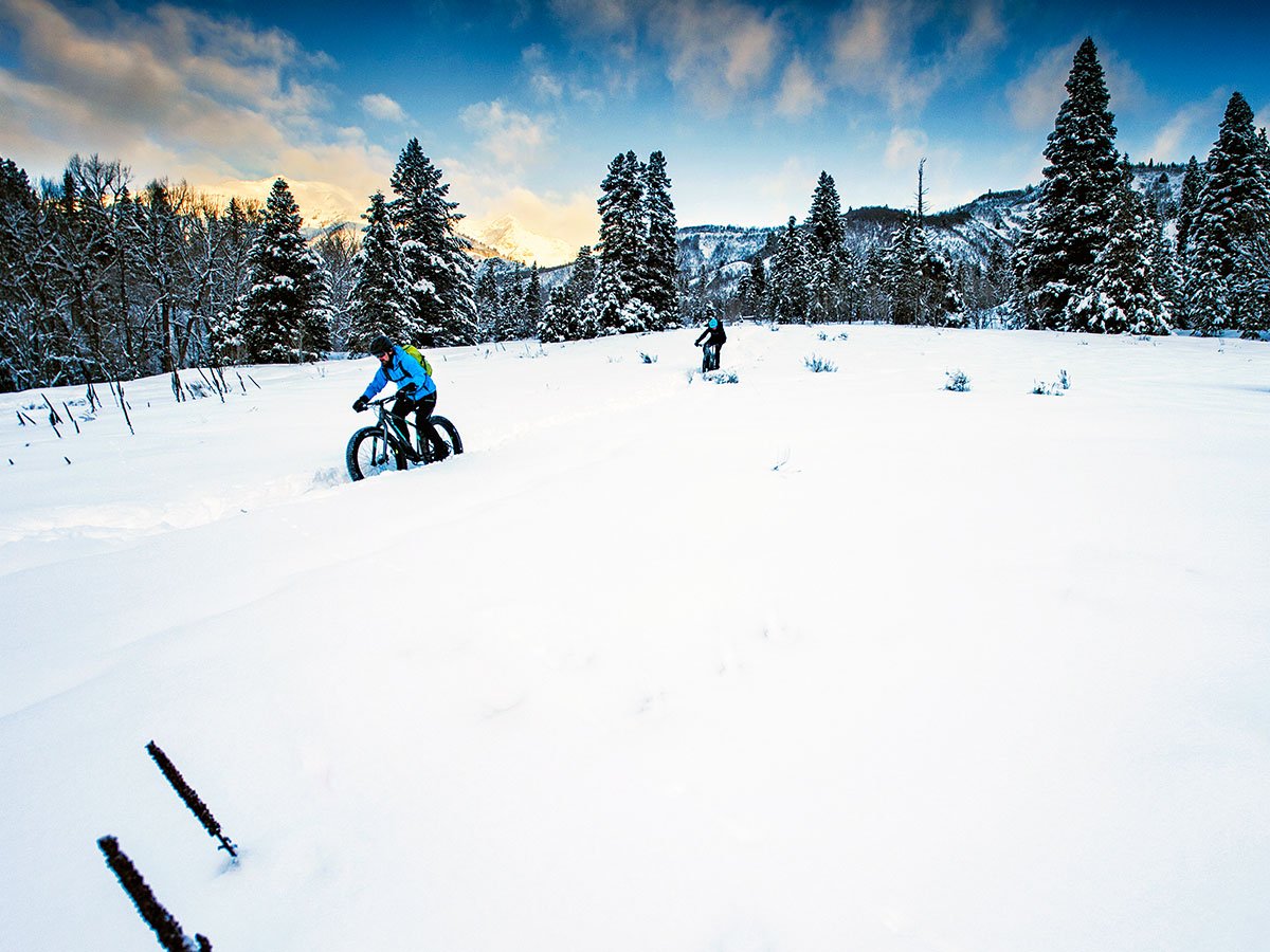 Madison Trek Stores tweet media