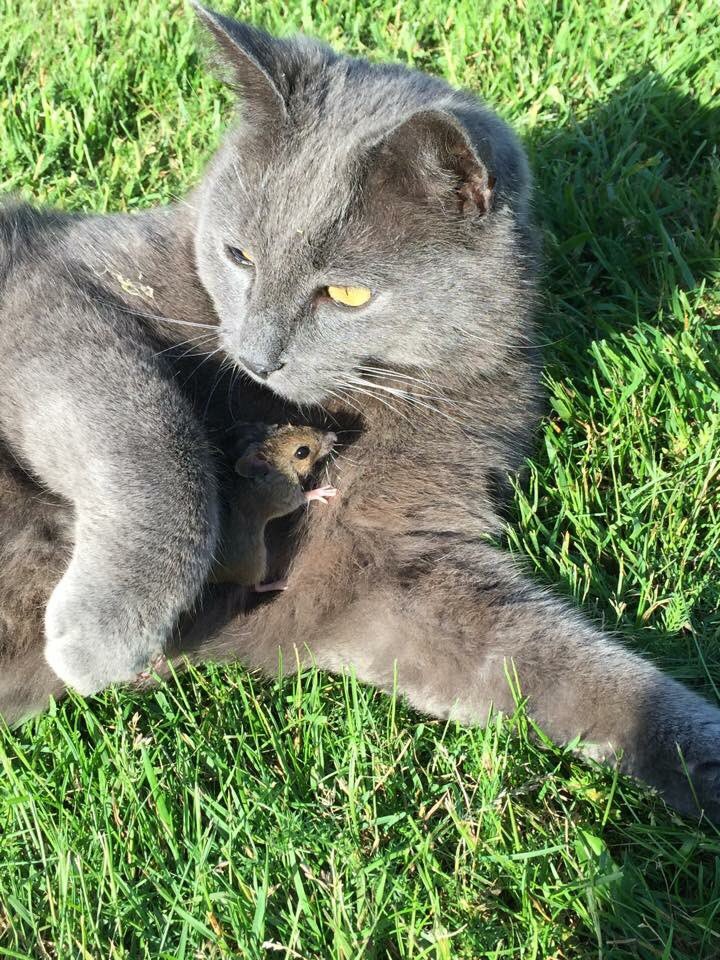 marktguide's tweet image. Friends come in different sizes, forms and with different personalities. Find your complimenting friend in life and hold them tight.