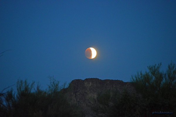 TriadsInNature's tweet photo. @HeavenAndHell63
The pix ββ was moonset as sun was rising
These are my "Supermoon Blood-moon" total lunar eclipse 9-2015
#NoSkillJustLuck https://t.co/lFrHoQQ2N1