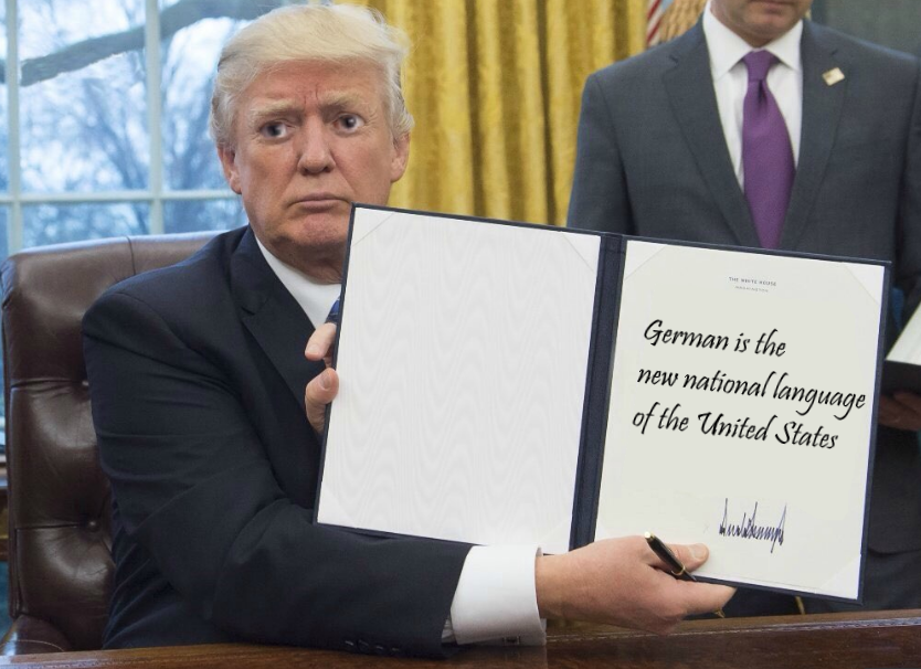 HerrCollinz's tweet photo. If Trump shared Herr Collins's vision https://t.co/MXcKhJKSZ8