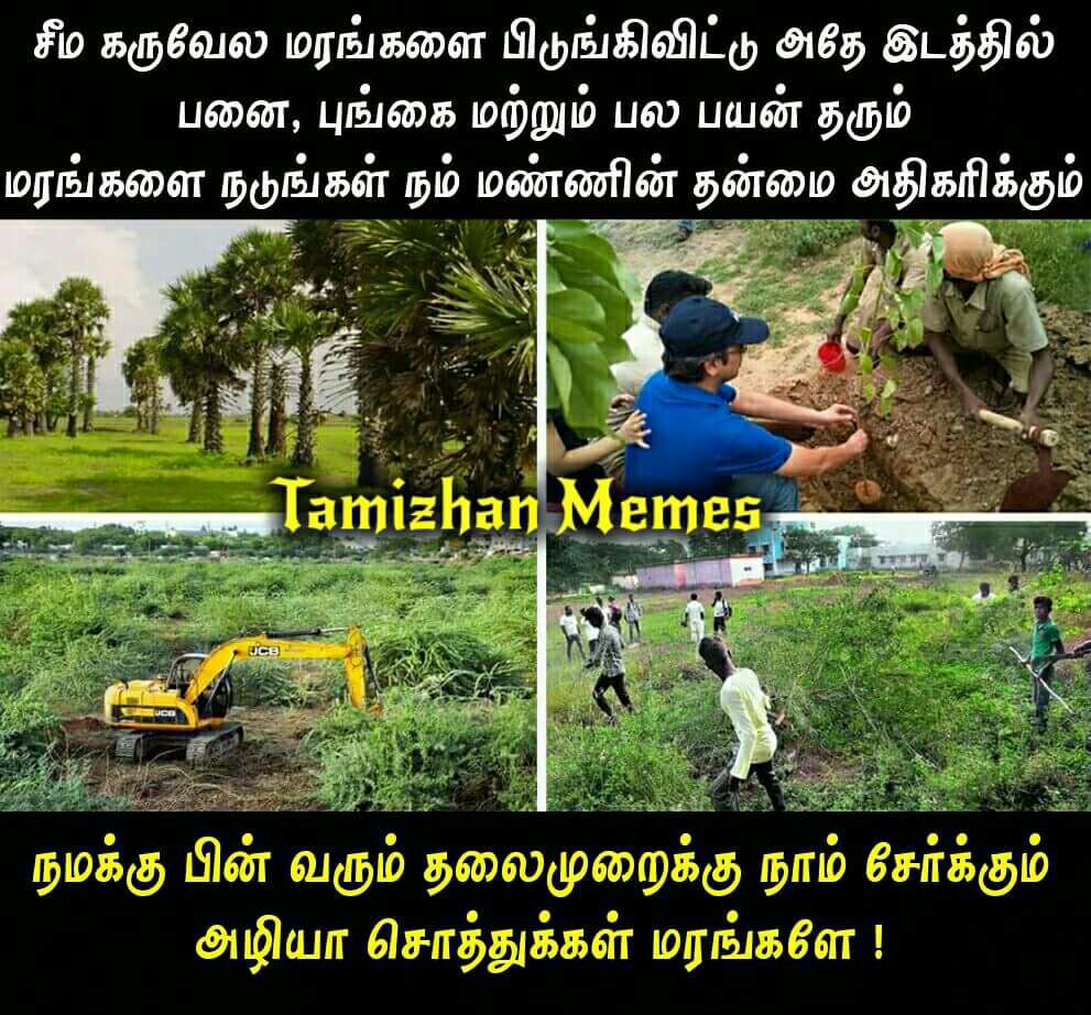 nandhini nandhini tweet media