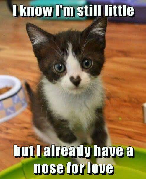 LevengoodGail's tweet photo. @Wynonna hello wynonna! https://t.co/hSdcrUMUNi