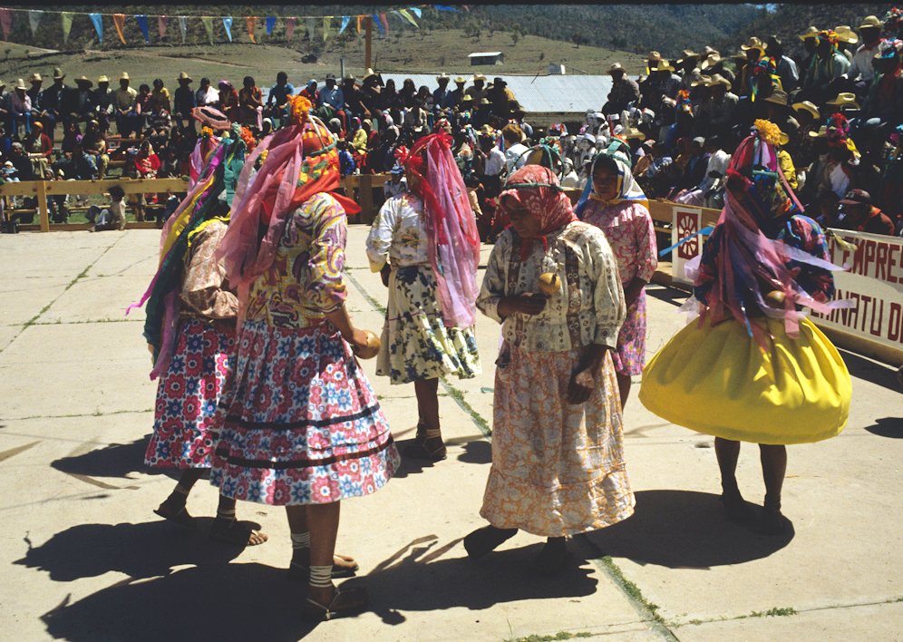 MiMuseoIndigena's tweet photo. La Danza de Matachines es una expresión muy arraigada en culturas del noroeste mexicano, como los O'damí/#TepehuanesDelNorte de #Chihuahua. https://t.co/3LyCViQ1Mn