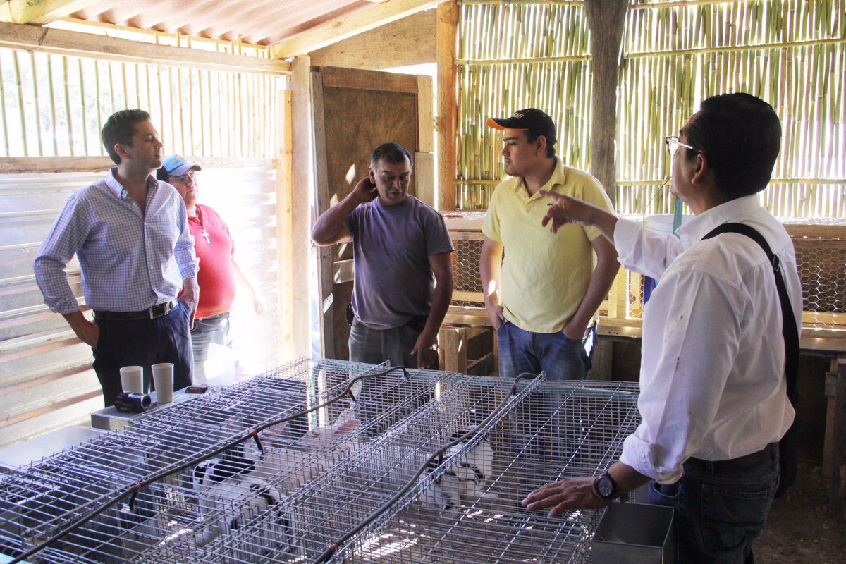 DIF_Oaxaca's tweet photo. Trabajando de corazón como nuestra Pdta., @IvetteMurat, hoy iniciamos el piloto de huerto y granja de conejos en #SanJuanBautistaJayacatlán. https://t.co/ZehHcupQ8b